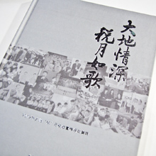 創(chuàng)意共和版式設(shè)計(jì)案例：大連地稅局宣傳活動(dòng)畫冊(cè)設(shè)計(jì)