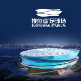 中國日報報道：大連梭魚灣足球場精彩亮相 LOGO畫龍點睛大獲好評